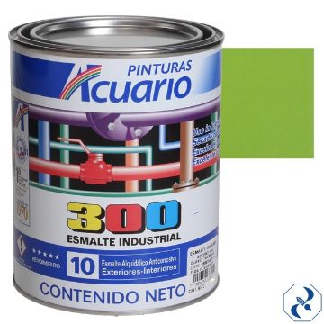 Imagen de D 1 ESMALTE 4 L YERBABUENA INDUSTRIAL 300 ACUARIO