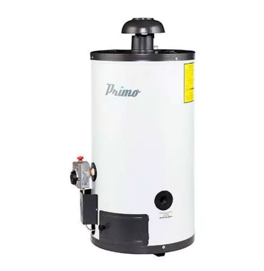 Imagen de D 1 CALENTADOR 40 L. DE AGUA GAS NATURAL AUTOMATICO IUSA PRIMO 377145